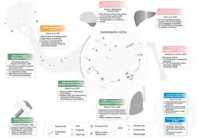 Editorial: Revisiting seed and soil: A new approach to target hibernating dormant tumor cells